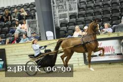 24BUCK_06790 thumbnail