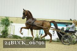 24BUCK_06796 thumbnail