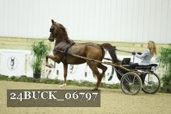 24BUCK_06797 thumbnail