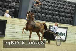 24BUCK_06798 thumbnail