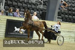 24BUCK_06799 thumbnail