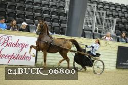 24BUCK_06800 thumbnail