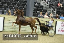 24BUCK_06801 thumbnail