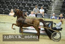 24BUCK_06804 thumbnail