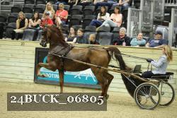 24BUCK_06805 thumbnail