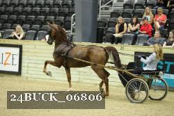 24BUCK_06806 thumbnail