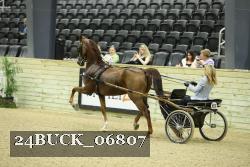 24BUCK_06807 thumbnail