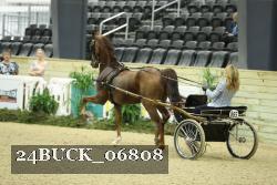 24BUCK_06808 thumbnail