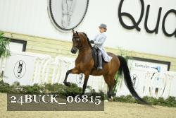 24BUCK_06815 thumbnail