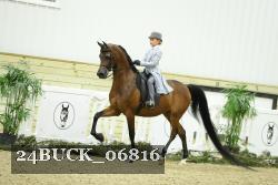 24BUCK_06816 thumbnail