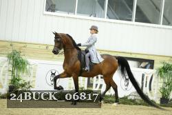 24BUCK_06817 thumbnail