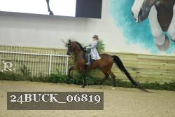 24BUCK_06819 thumbnail