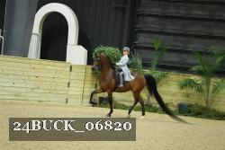 24BUCK_06820 thumbnail