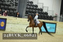 24BUCK_06821 thumbnail