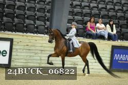 24BUCK_06822 thumbnail