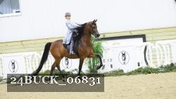 24BUCK_06831 thumbnail