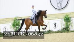 24BUCK_06832 thumbnail