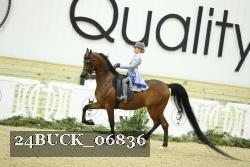 24BUCK_06836 thumbnail