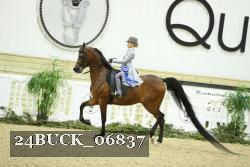 24BUCK_06837 thumbnail