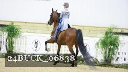 24BUCK_06838 thumbnail