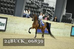 24BUCK_06839 thumbnail