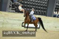 24BUCK_06840 thumbnail