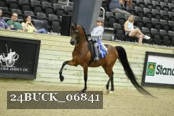 24BUCK_06841 thumbnail