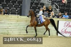 24BUCK_06843 thumbnail