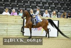 24BUCK_06846 thumbnail