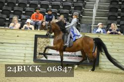 24BUCK_06847 thumbnail