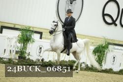 24BUCK_06851 thumbnail