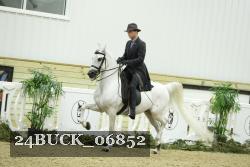 24BUCK_06852 thumbnail