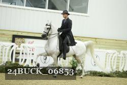 24BUCK_06853 thumbnail