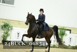 24BUCK_06854 thumbnail