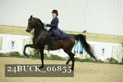 24BUCK_06855 thumbnail