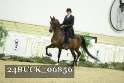 24BUCK_06856 thumbnail