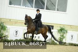 24BUCK_06857 thumbnail