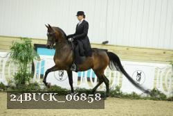 24BUCK_06858 thumbnail