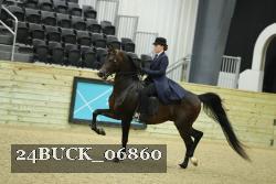 24BUCK_06860 thumbnail