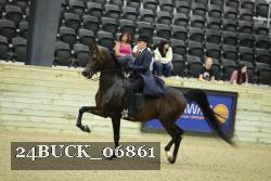 24BUCK_06861 thumbnail