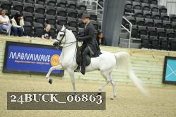 24BUCK_06863 thumbnail