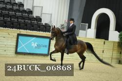 24BUCK_06868 thumbnail