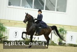 24BUCK_06874 thumbnail