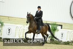 24BUCK_06876 thumbnail
