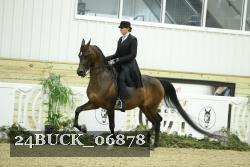 24BUCK_06878 thumbnail