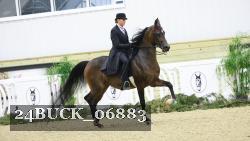 24BUCK_06883 thumbnail