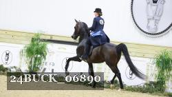 24BUCK_06890 thumbnail