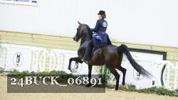24BUCK_06891 thumbnail