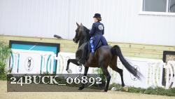 24BUCK_06892 thumbnail