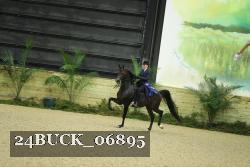 24BUCK_06895 thumbnail